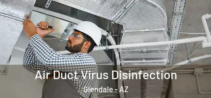  Air Duct Virus Disinfection Glendale - AZ