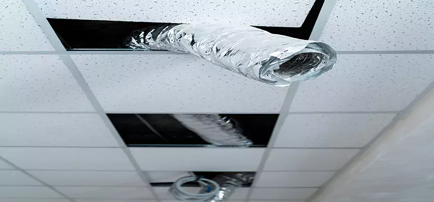 Our Air Duct Pet Hair Removal Services in Glendale, AZ