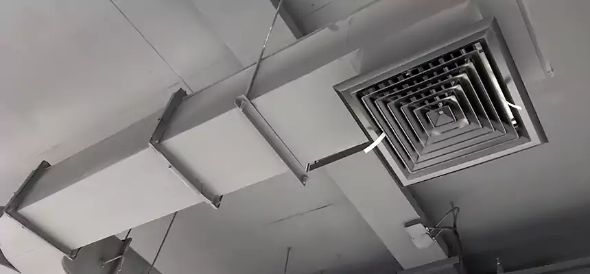 Restorative Allergy Relief Vent Cleaning – Coil, Blower & Housing Detail in Glendale