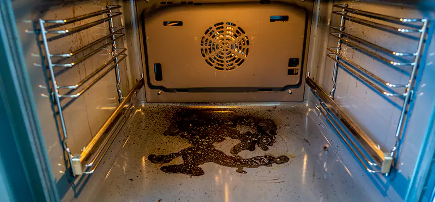 Our Dryer Vent Mold Cleaning Services in Glendale, AZ