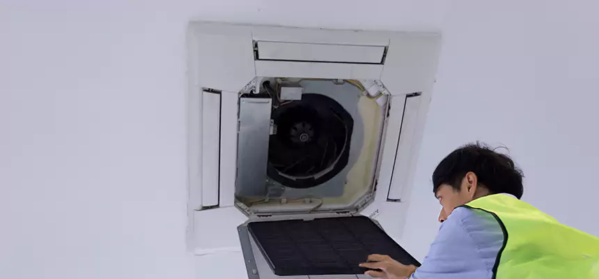 Our Dryer Vent Sanitization Service Services in Glendale, AZ