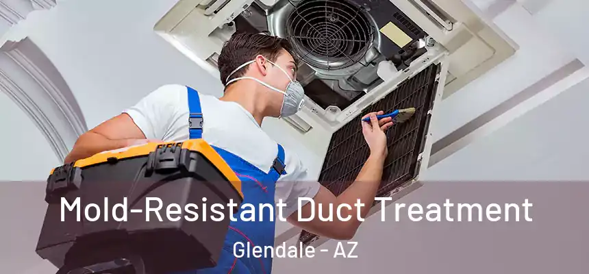  Mold-Resistant Duct Treatment Glendale - AZ