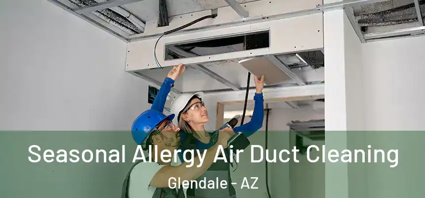 Seasonal Allergy Air Duct Cleaning Glendale - AZ