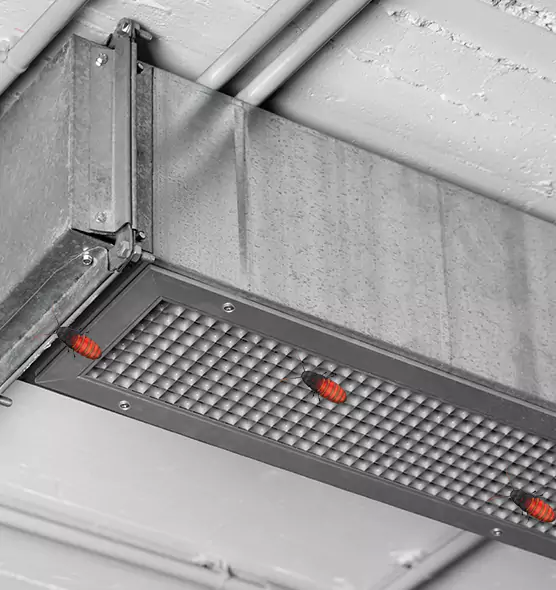 About Air Duct Cockroach Removal in Glendale, AZ
