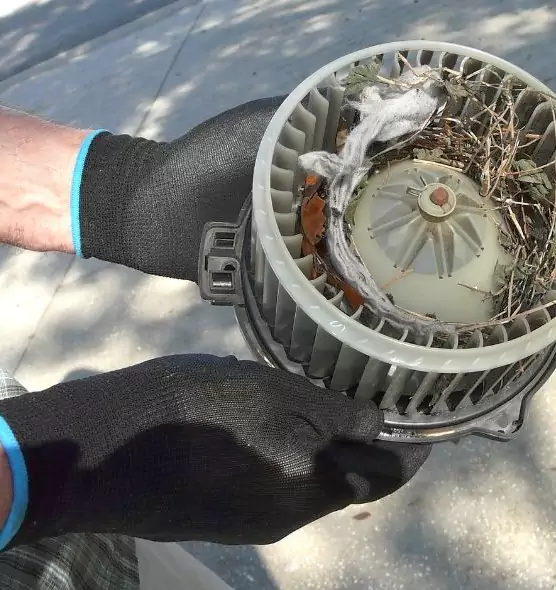 About Air Duct Rat Removal in Glendale, AZ