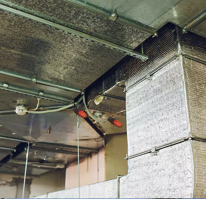 Why Homeowners & Businesses Trust Us in Glendale, AZ?