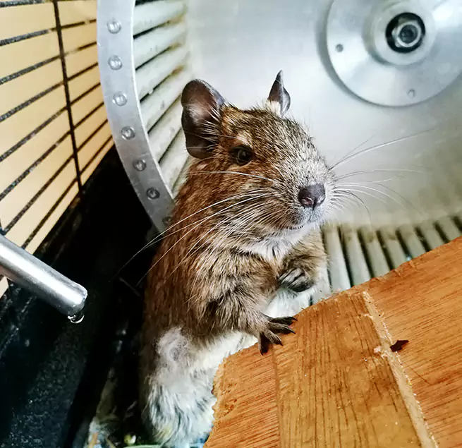 Why Homeowners & Businesses Trust Us Glendale, AZ