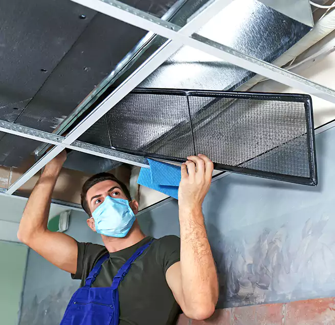 Why Homeowners Businesses Trust Us in Glendale, AZ