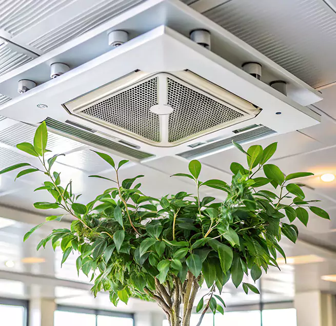 Why Homeowners & Businesses Trust Us in Glendale, AZ?