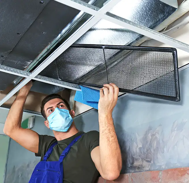 Why Homeowners & Businesses Trust Us in Glendale, AZ?