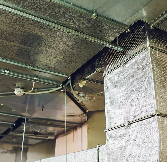 Why Homeowners & Businesses Trust Us in Glendale, AZ?